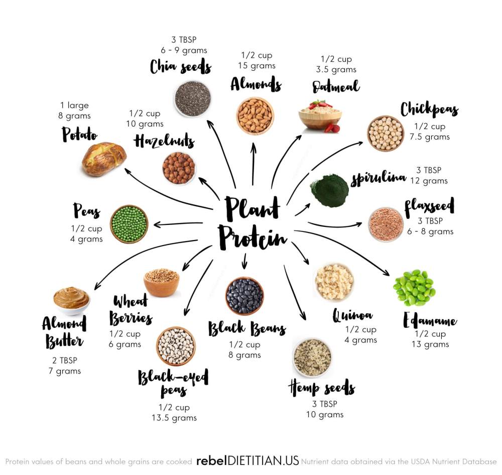 top-sources-of-plant-based-protein